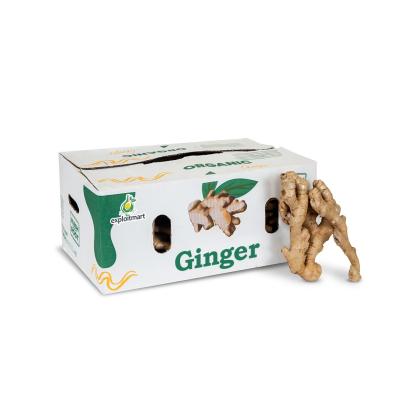 Dried Ginger