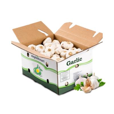 Garlic