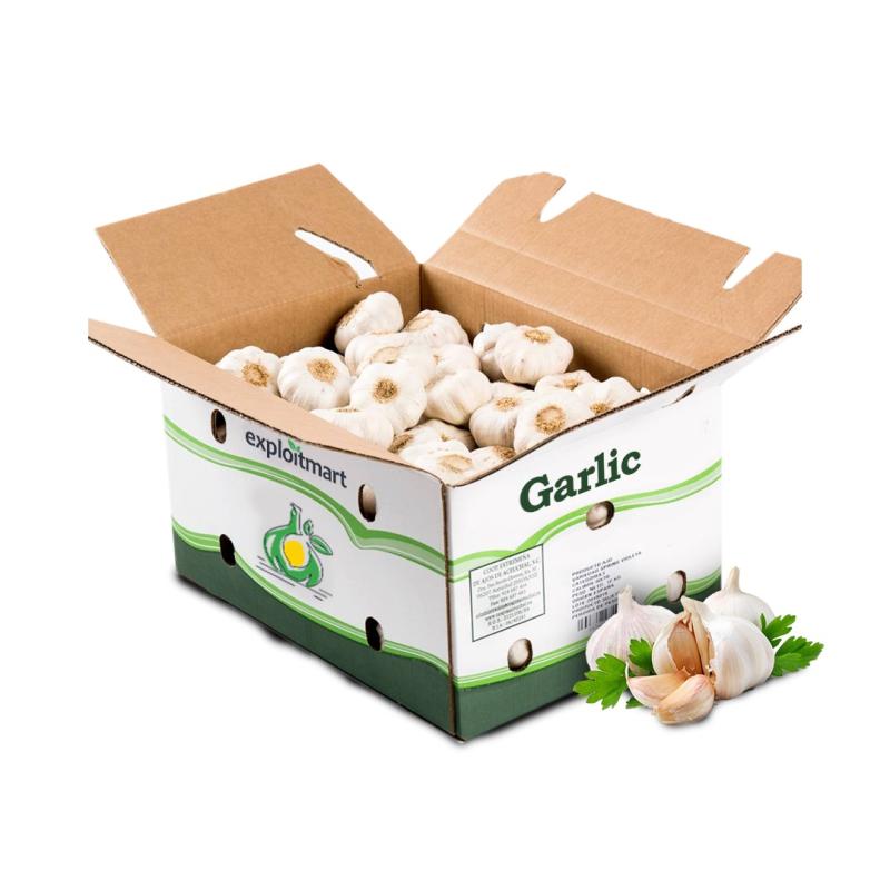 Garlic